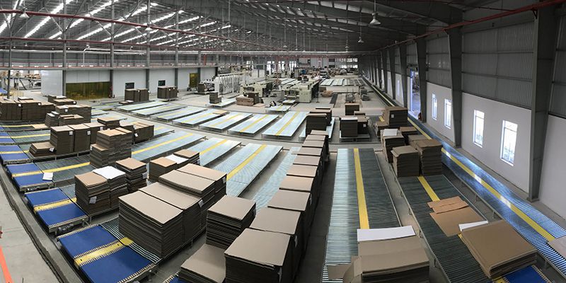 Corrugated Cardboard Conveyor System