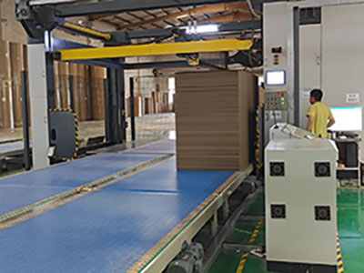 Modular Belt Conveyor